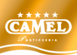 Distillerie Camel (S.P.A.)