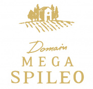 Domain Mega Spileo