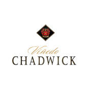 Vinedo Chadwick